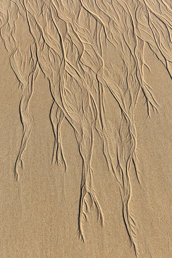 114 | 2009 | El Palmar | © carsten riede fotografie