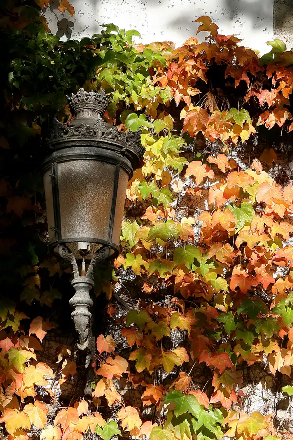 005 | 2009 | El Puerto De Santa Maria | Osborne Bodega De Mora | © carsten riede fotografie
