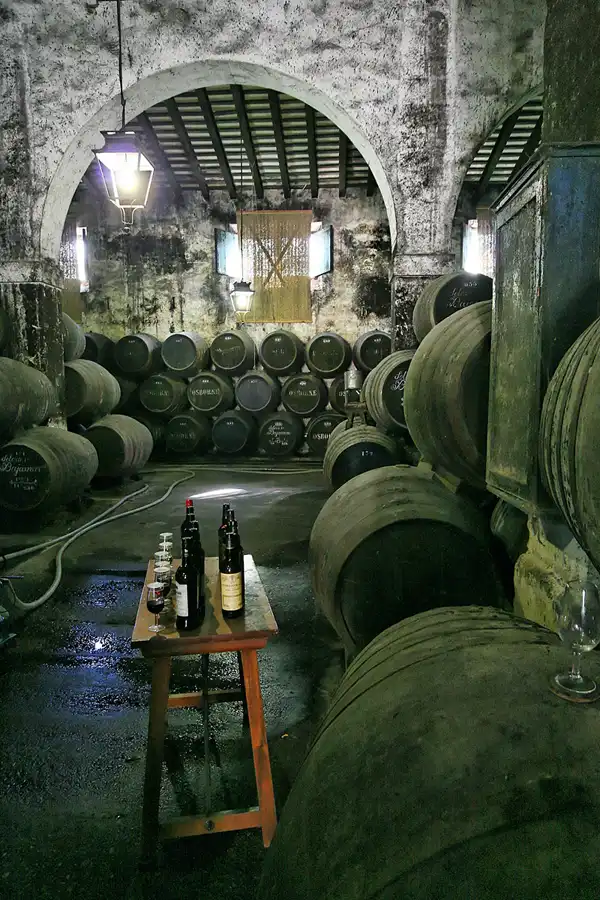 019 | 2009 | El Puerto De Santa Maria | Osborne Bodega De Mora | © carsten riede fotografie