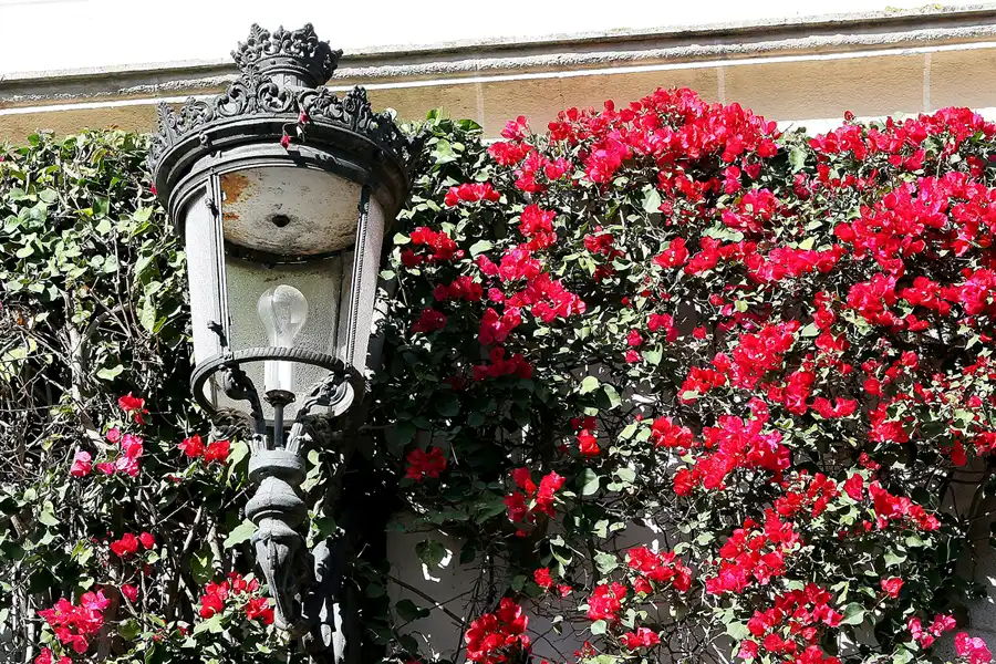 021 | 2009 | El Puerto De Santa Maria | Osborne Bodega De Mora | © carsten riede fotografie