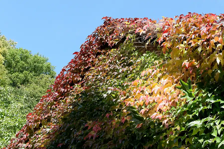 093 | 2010 | Grenzau | © carsten riede fotografie