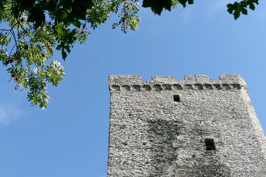 099 | 2010 | Grenzau | Ruine Grenzau | © carsten riede fotografie