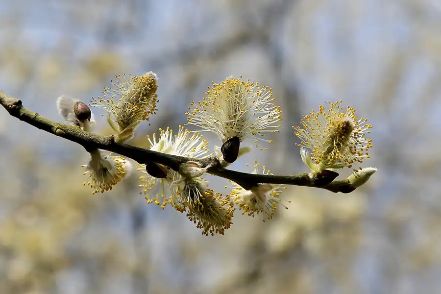 045 | 2010 | Bogensee | © carsten riede fotografie