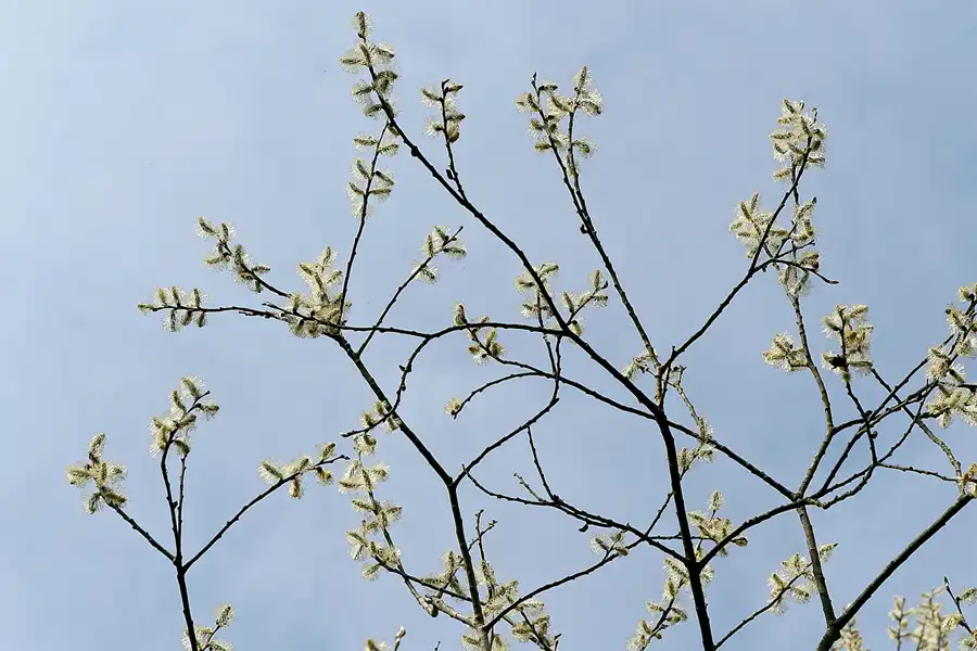 046 | 2010 | Bogensee | © carsten riede fotografie