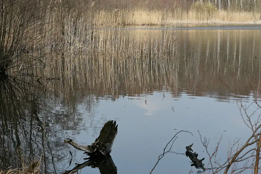 048 | 2010 | Bogensee | © carsten riede fotografie