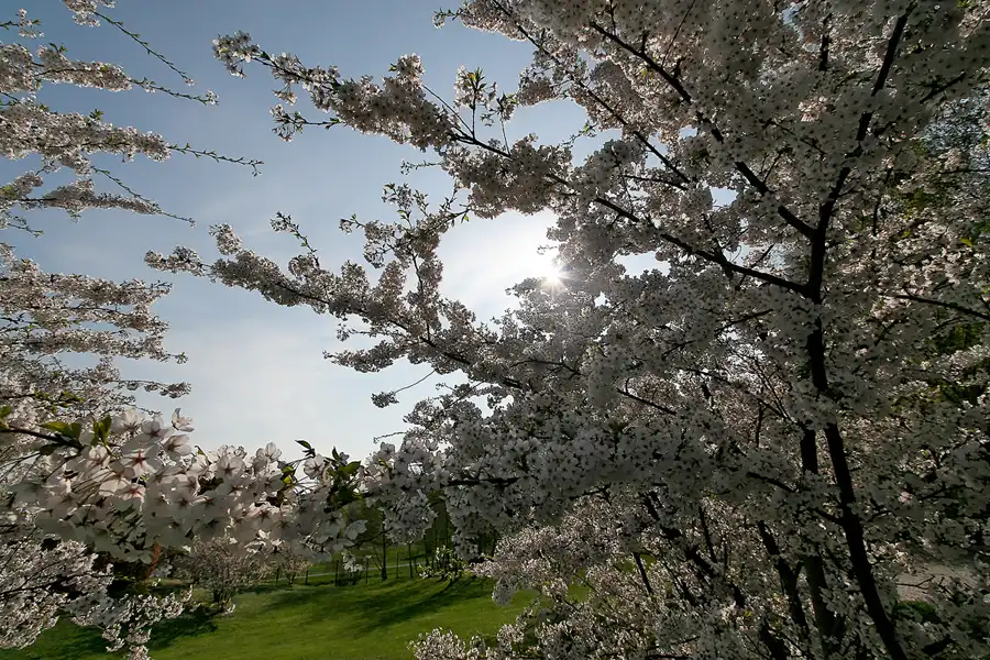 007 | 2010 | Berlin | Gärten der Welt im Erholungspark Marzahn | © carsten riede fotografie