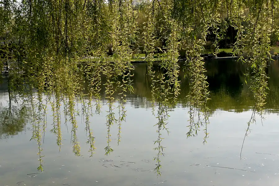 022 | 2010 | Berlin | Gärten der Welt im Erholungspark Marzahn | © carsten riede fotografie