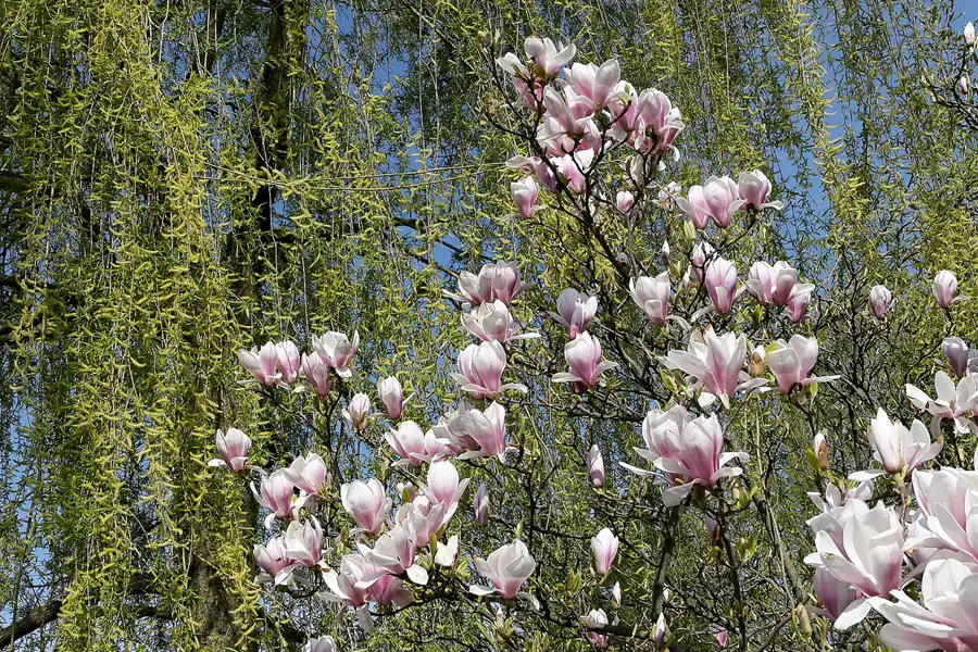 027 | 2010 | Berlin | Gärten der Welt im Erholungspark Marzahn | © carsten riede fotografie