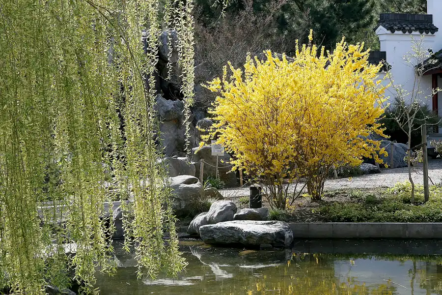 028 | 2010 | Berlin | Gärten der Welt im Erholungspark Marzahn | © carsten riede fotografie