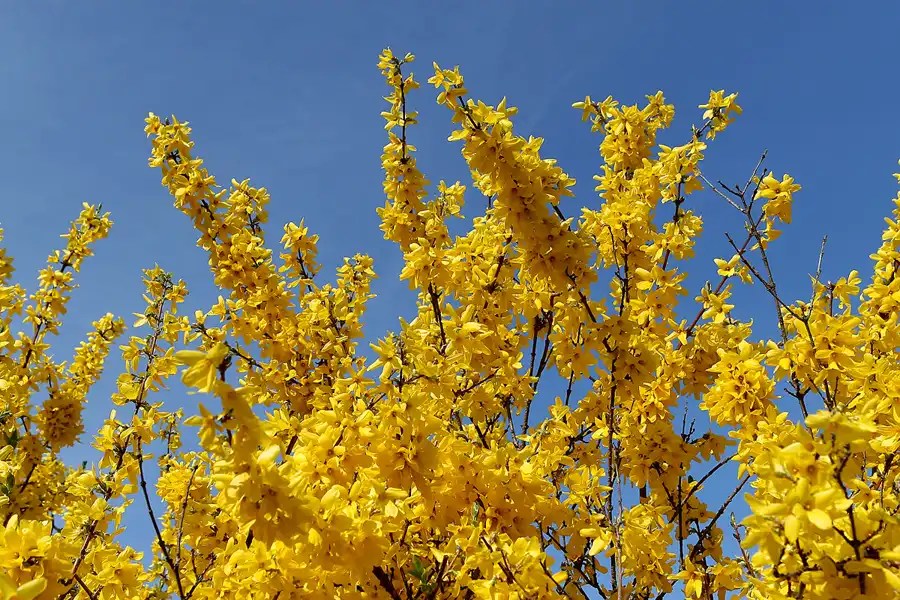 029 | 2010 | Berlin | Gärten der Welt im Erholungspark Marzahn | © carsten riede fotografie