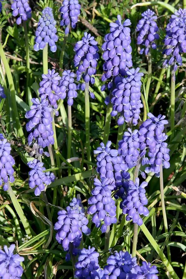 030 | 2010 | Berlin | Gärten der Welt im Erholungspark Marzahn | © carsten riede fotografie