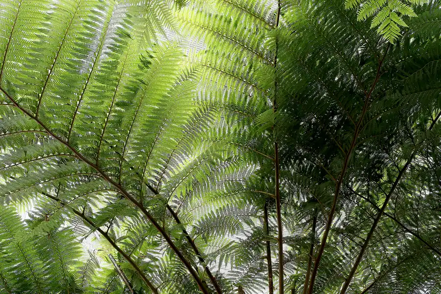 042 | 2010 | Berlin | Gärten der Welt im Erholungspark Marzahn | © carsten riede fotografie