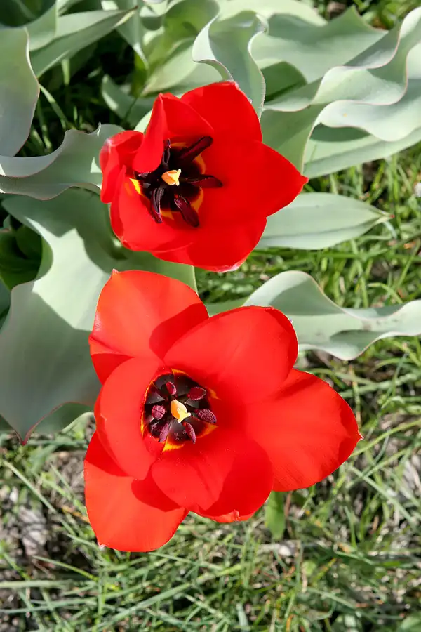 073 | 2010 | Berlin | Wuhletal | © carsten riede fotografie