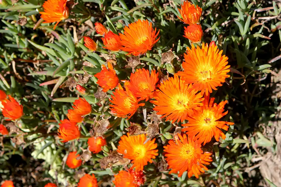072 | 2010 | Guernsey | Moulin Huet Bay | © carsten riede fotografie