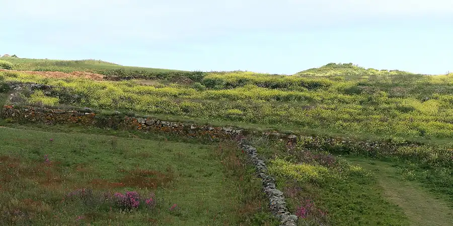 093 | 2010 | Guernsey | Pleinmont | © carsten riede fotografie