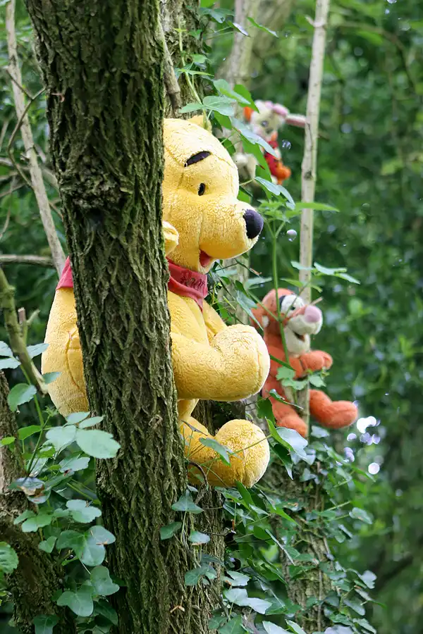 126 | 2010 | Guernsey | Sausmarez Manor | © carsten riede fotografie