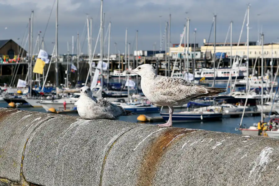 158 | 2010 | Guernsey | St. Peter Port | © carsten riede fotografie