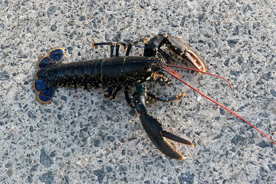 180 | 2010 | Guernsey | St. Peter Port | © carsten riede fotografie