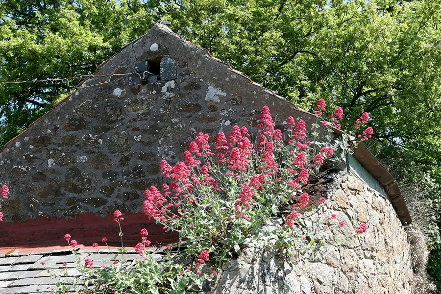 194 | 2010 | Guernsey | © carsten riede fotografie