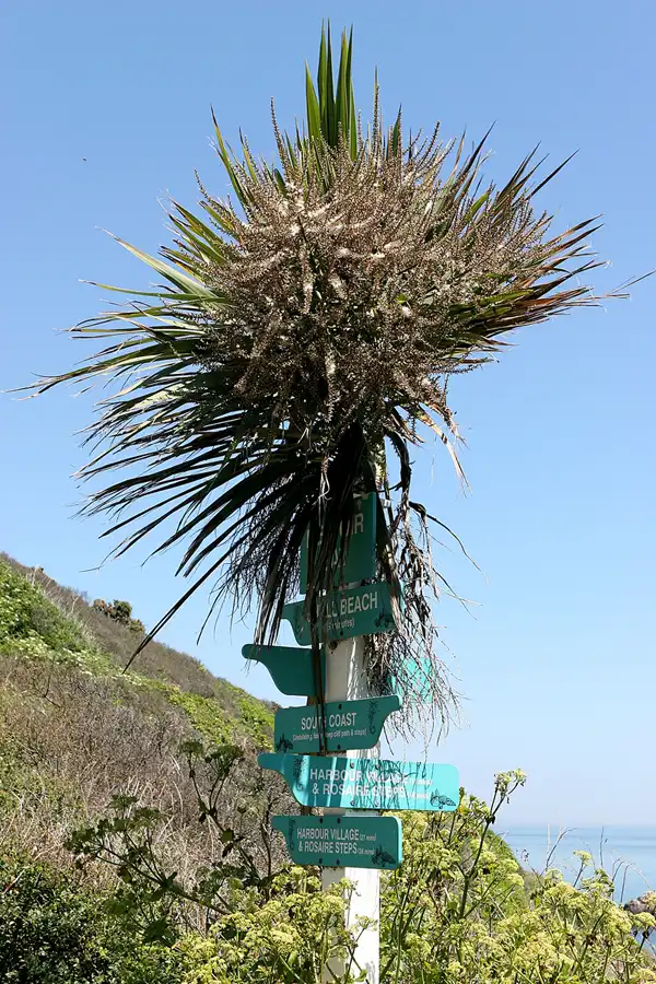 011 | 2010 | Herm | © carsten riede fotografie