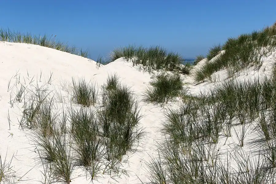 014 | 2010 | Herm | © carsten riede fotografie