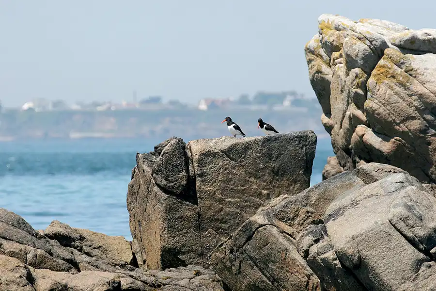 016 | 2010 | Herm | © carsten riede fotografie