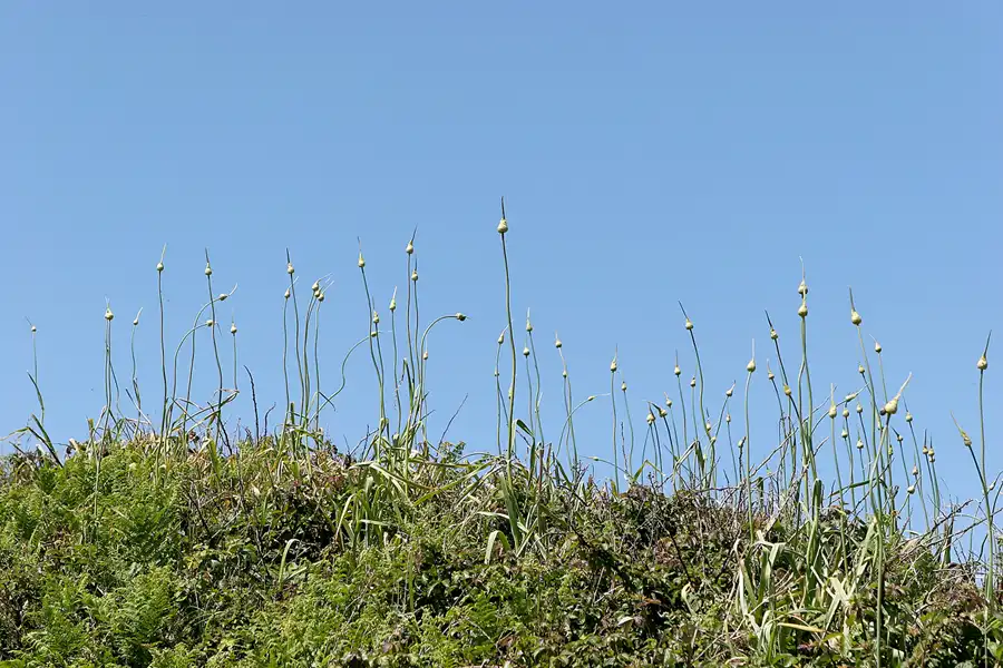 021 | 2010 | Herm | © carsten riede fotografie