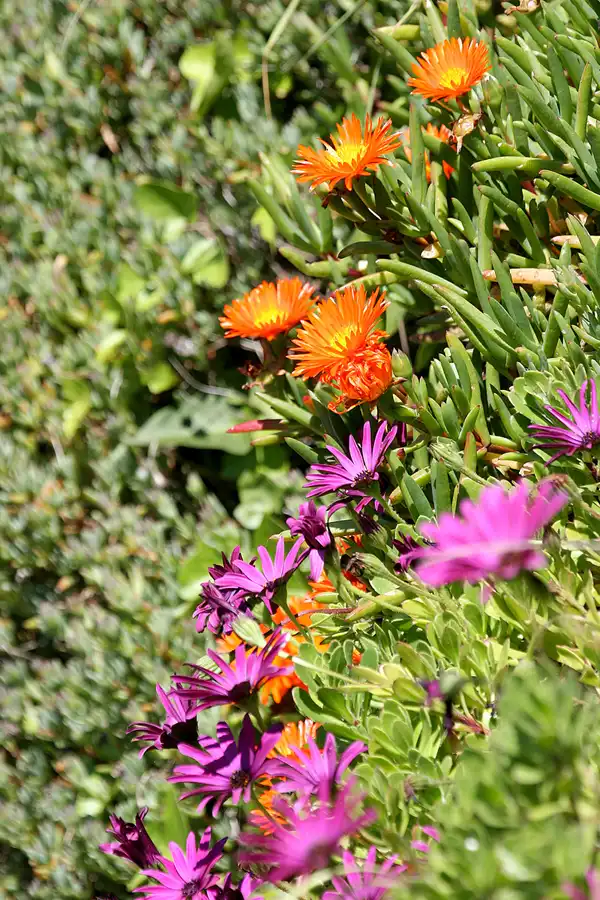 025 | 2010 | Herm | © carsten riede fotografie