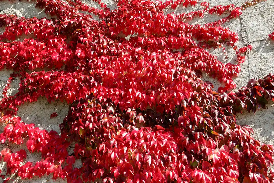 007 | 2010 | Erfurt | © carsten riede fotografie