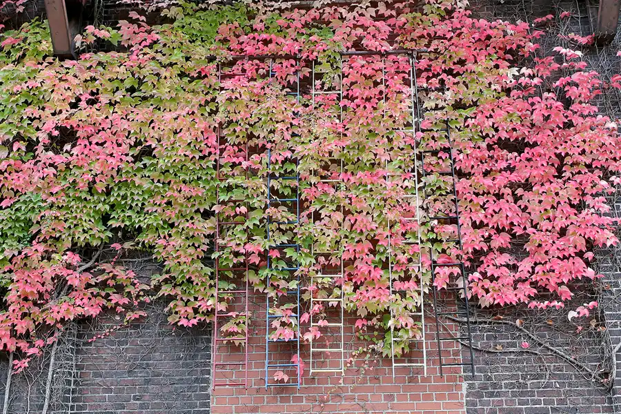 052 | 2010 | Essen | Zeche Zollverein | © carsten riede fotografie