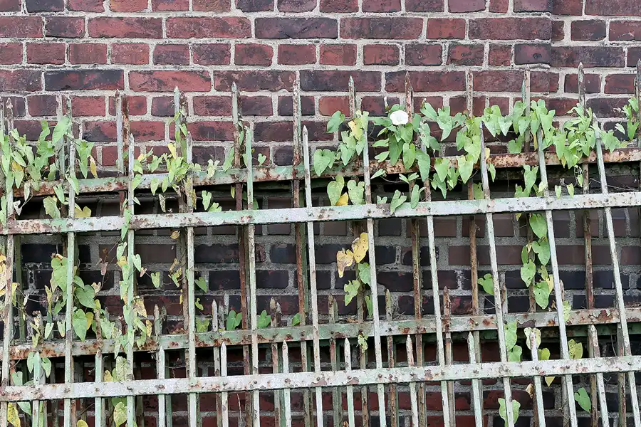 088 | 2010 | Waltrop | Zeche Waltrop | © carsten riede fotografie