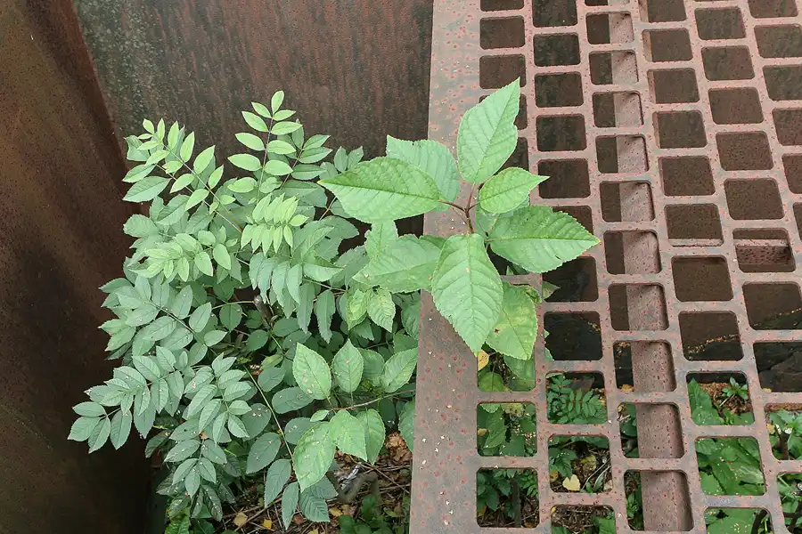 106 | 2010 | Dortmund | Kokerei Hansa | © carsten riede fotografie