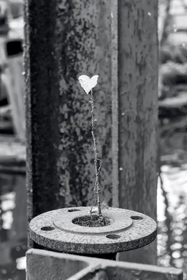 115 | 2010 | Dortmund | Kokerei Hansa | © carsten riede fotografie