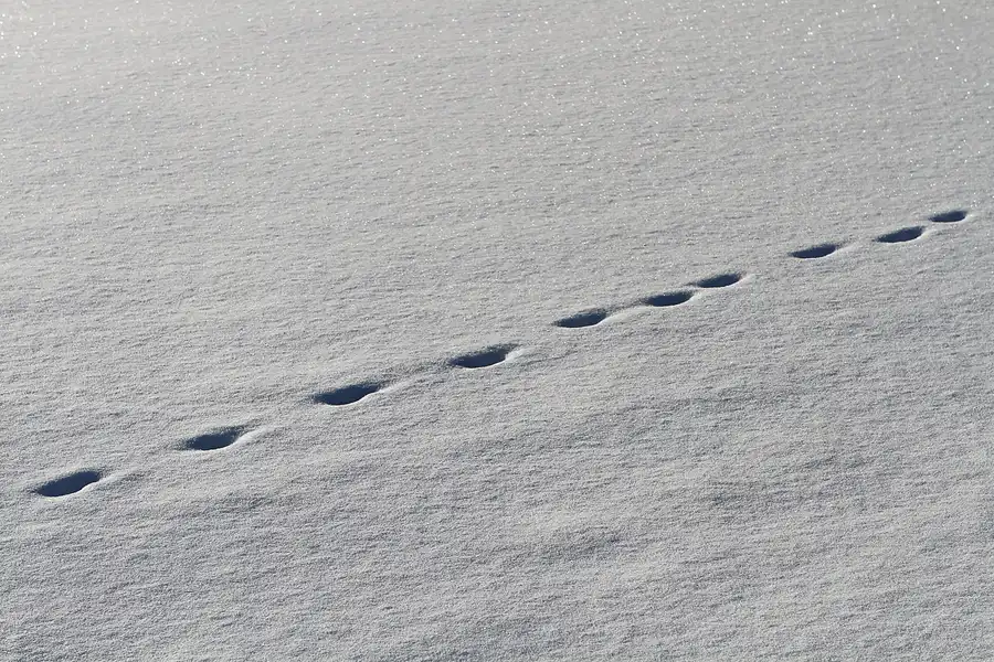 008 | 2010 | Berlin | Obersee-Orankesee-Park | © carsten riede fotografie