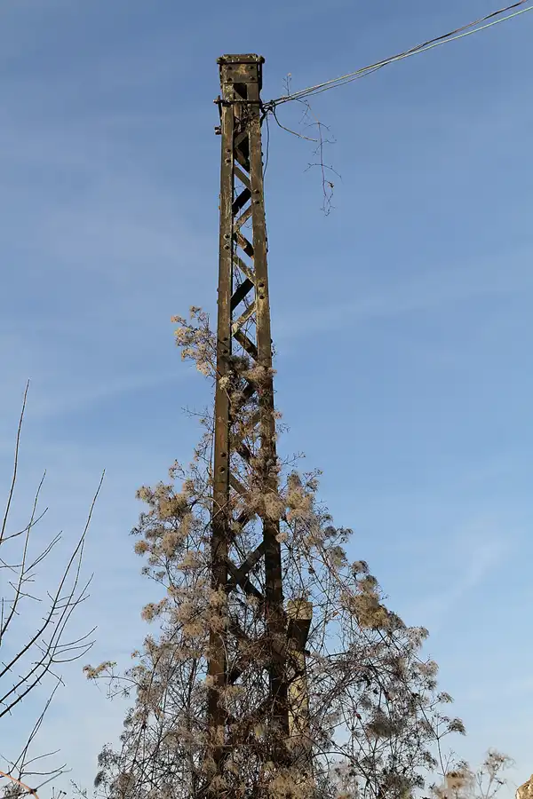 007 | 2011 | Berlin | Am Wasserwerk | © carsten riede fotografie