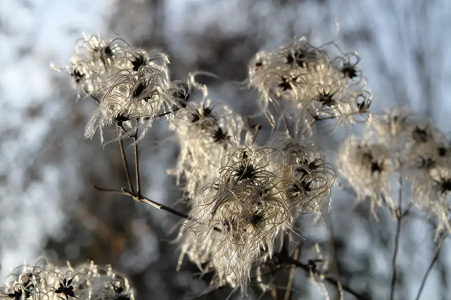 017 | 2011 | Berlin | Bornitzstrasse | © carsten riede fotografie