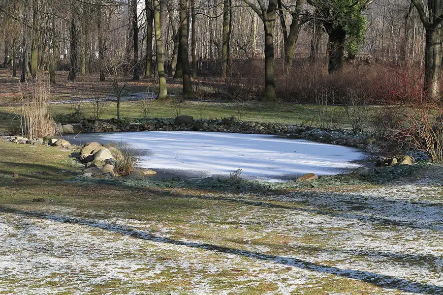 049 | 2011 | Berlin | Parkfriedhof | © carsten riede fotografie