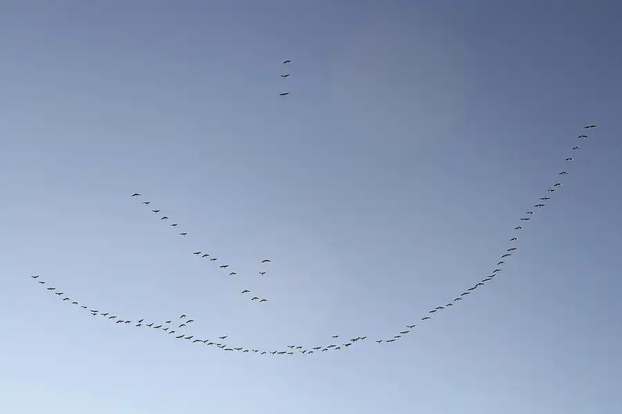 051 | 2011 | Berlin | Boxberger Strasse | © carsten riede fotografie