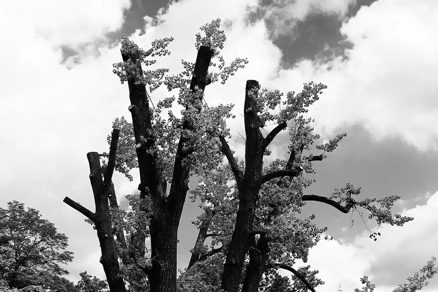 116 | 2011 | Berlin | Weissenseepark | © carsten riede fotografie