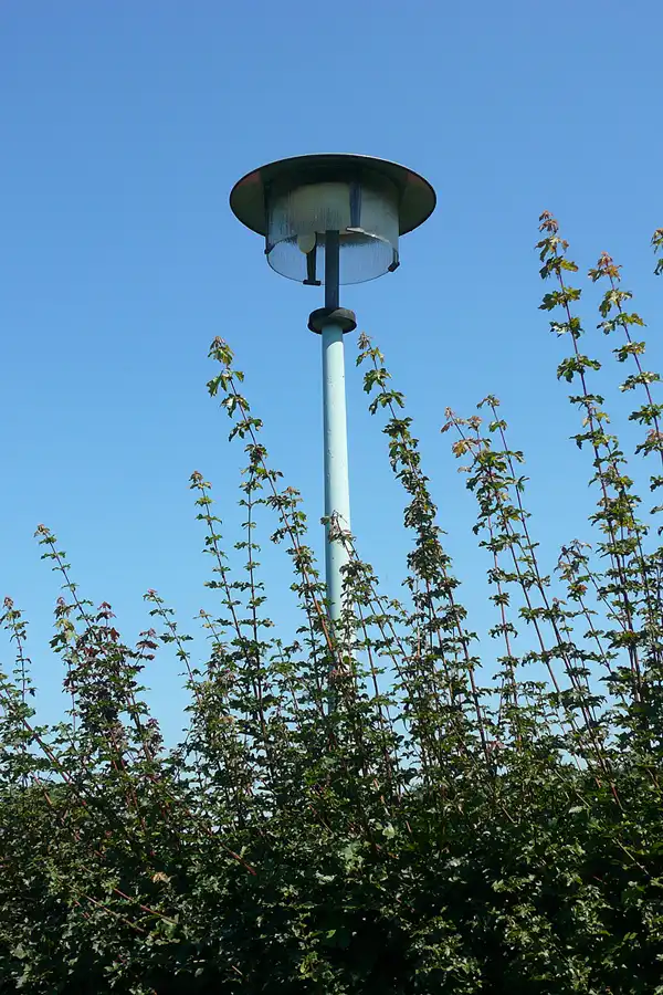 129 | 2011 | Berlin | Sportforum | © carsten riede fotografie