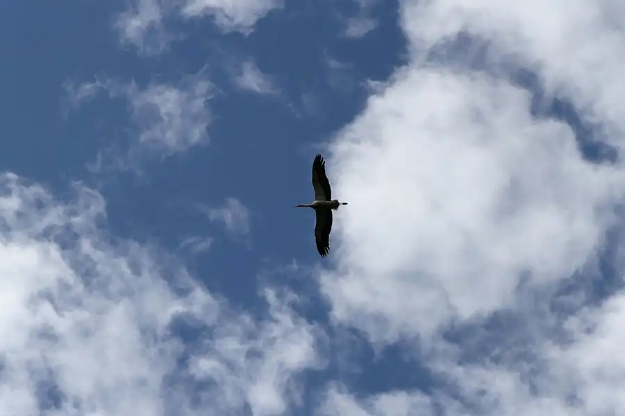 136 | 2011 | Ziesar | © carsten riede fotografie