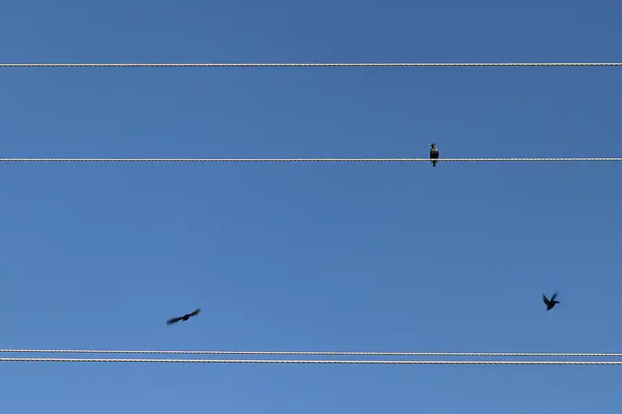 004 | 2011 | Bolonia | © carsten riede fotografie