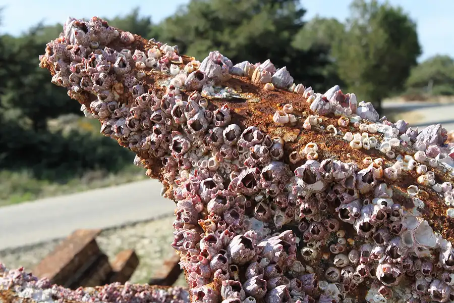 015 | 2011 | Cabo Roche | © carsten riede fotografie