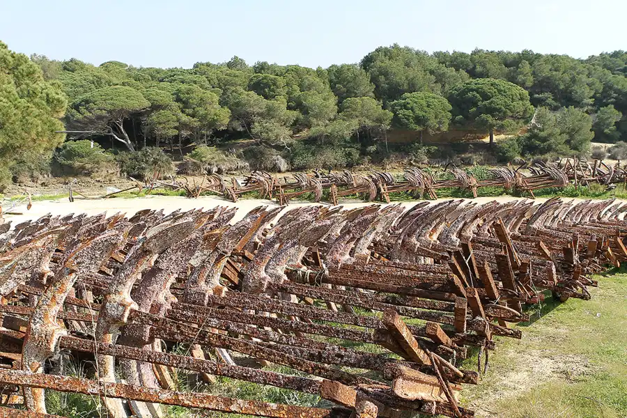 016 | 2011 | Cabo Roche | © carsten riede fotografie