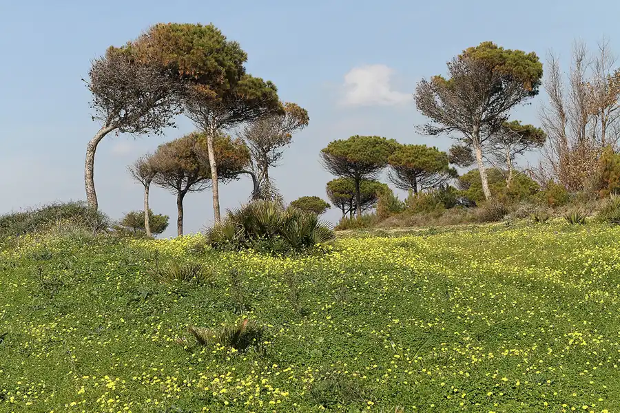 021 | 2011 | Cabo Roche | © carsten riede fotografie