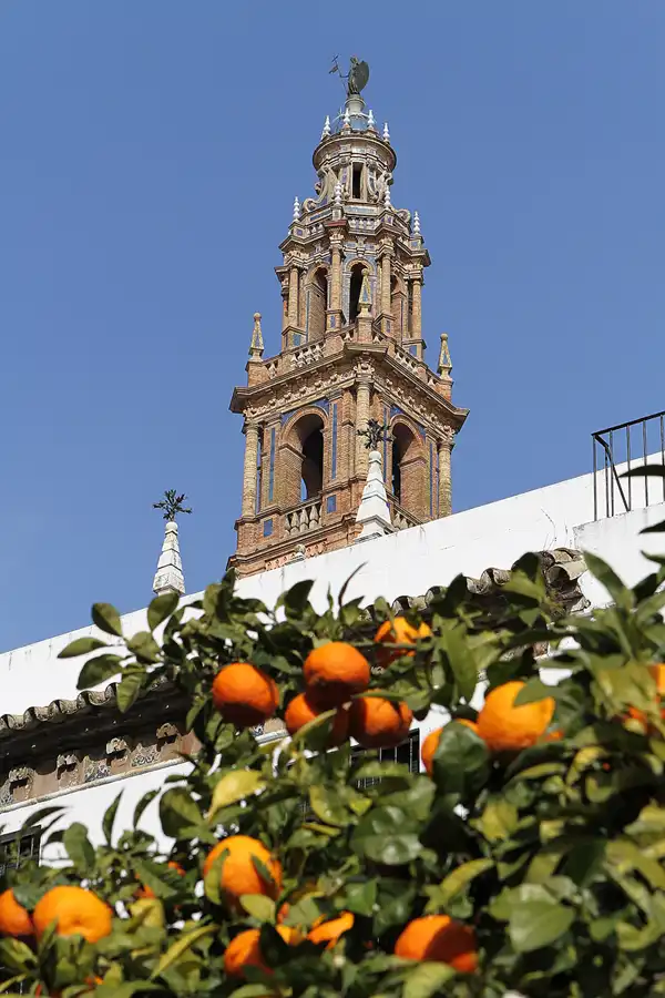 034 | 2011 | Carmona | © carsten riede fotografie