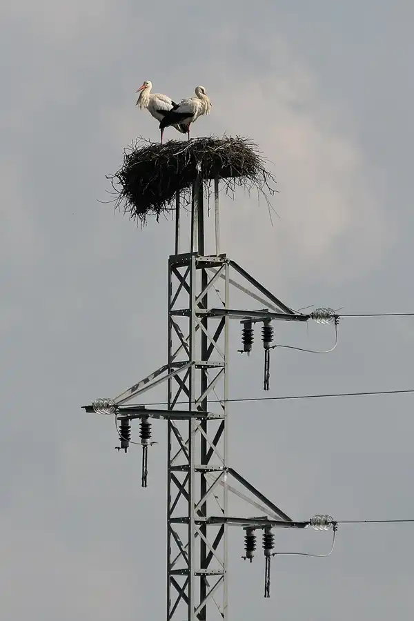 040 | 2011 | Laguna De La Paja | © carsten riede fotografie