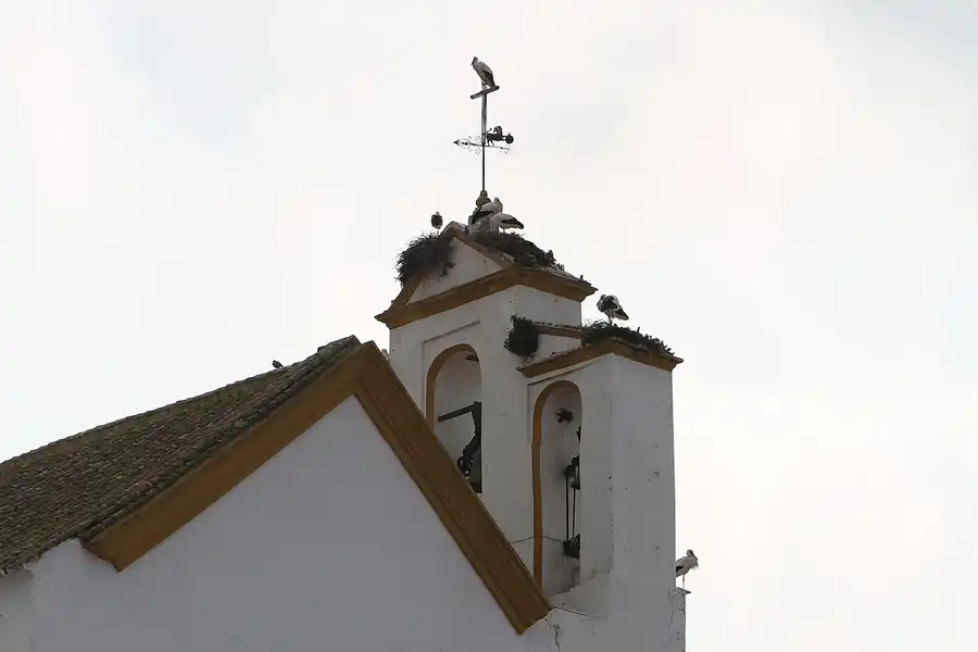 054 | 2011 | Marchena | © carsten riede fotografie