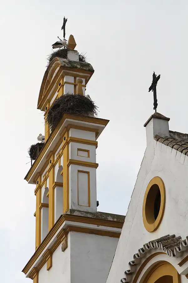 056 | 2011 | Marchena | © carsten riede fotografie