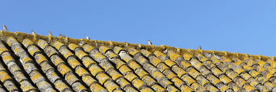 068 | 2011 | Medina Sidonia | © carsten riede fotografie